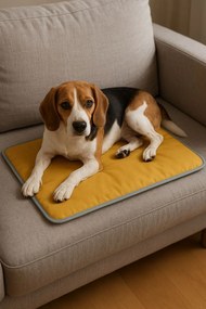 Peliešok pre domáce zviera Thermoa (zelená). Akcia -12%. Vlastná spoľahlivá doprava až k Vám domov. 1146028