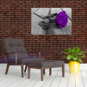 Obraz - Fialová ruža so zelenou stonkou (90x60 cm)