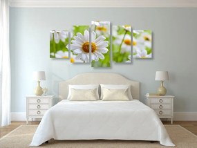 5-dielny obraz jarná lúka plná kvetov - 200x100