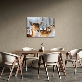Obraz - Jeleňča (70x50 cm)
