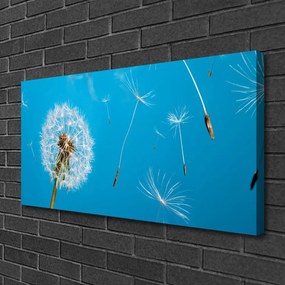 Obraz Canvas Púpavy kvety príroda 140x70 cm