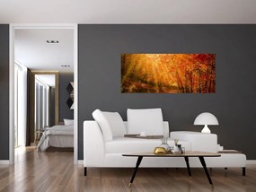 Obraz jesenného lesa (120x50 cm)