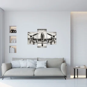 Obraz - Warbird (90x60 cm)