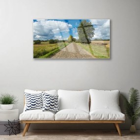 Obraz na skle Dedina cesta dlažba krajina 140x70 cm