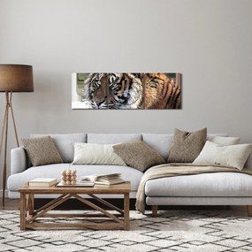 Obraz tigra (s hodinami) (90x30 cm)