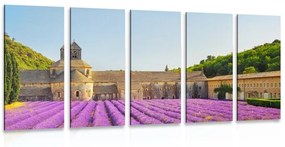 5-dielny obraz Provensálsko s levanduľovými poľami - 100x50