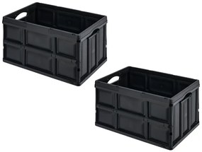 W5 Skladacia prepravka, 62 l, 2 kusy  (800010777)