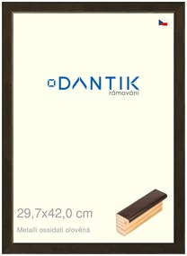 DANTIK rám na obraz 29,7x42 | Metalli oidati olověná (Plexi Čiré)