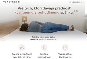 Kokosový matrac COCO MAXI 20 cm 120 x 200 cm Ochrana matraca: BEZ chrániča matraca