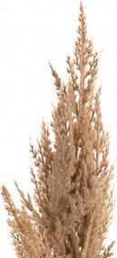 Vetvička trávy pampas 90cm beige