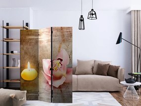 Artgeist Paraván - Romantic Evening [Room Dividers]
