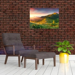 Obraz - Letná krajina (70x50 cm)