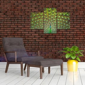 Obraz - Páv (90x60 cm)