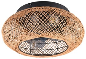 Hnedé stropné svietidlo na diaľkové ovládanie/s ventilátorom Lillesand – Trio