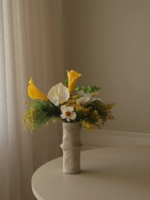 Rastlinná dekorácia Mimosa Breeze