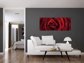 Obraz - Červená ruža s kvapkami rosy (120x50 cm)