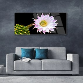 Obraz na akrylátovom skle Kvet 125x50 cm