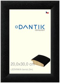 DANTIK rám na obraz 20x30 | LEDVINKA černá (Sklo Čiré)