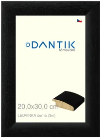 DANTIK rám na obraz 20x30 | LEDVINKA černá (Sklo Čiré)