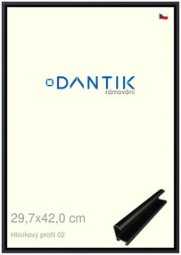 DANTIK rám na obraz 29,7x42 | ALU Černá matná (Plexi Čiré)