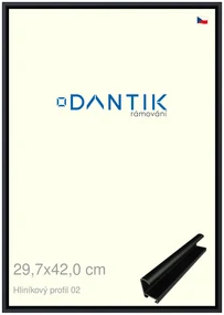 DANTIK rám na obraz 29,7x42 | ALU Černá matná (Plexi Čiré)