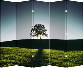 Paraván - Strom (210x170 cm)