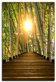 Obraz na plátne - Drevená promenáda v bambusovom lese - obdĺžnik 7172A (60x40 cm)