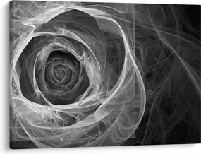 Obraz - Abstraktné ruže čiernobiela (70x50 cm)