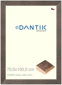 DANTIK rám na obraz 70x100 | TOMAS šedá velká (Plexi Čiré)