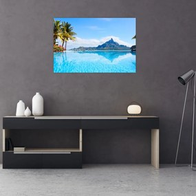 Obraz - Palmy a pláže (90x60 cm)