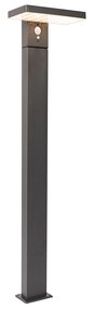 Vonkajšia stojaca lampa tmavosivá 80 cm vrátane LED a stmievateľného svetla na solár - Sunnie