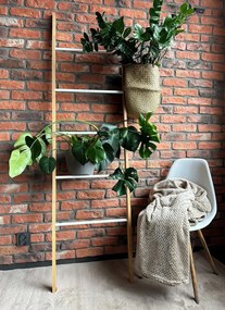Tutumi TUTUMI, rebrík na uteráky 186 cm, hnedá, BBP-3061, HOM-03693