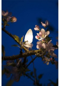 Svetelná reťaz Šiška, 20 LED žiaroviek Filament, číry kábel, predĺženie