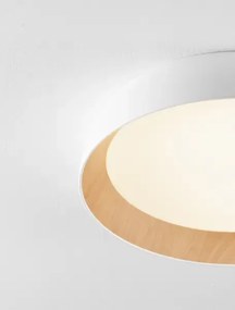 LED stmievateľné bielo-drevené moderné stropné svietidlo Sigi 60