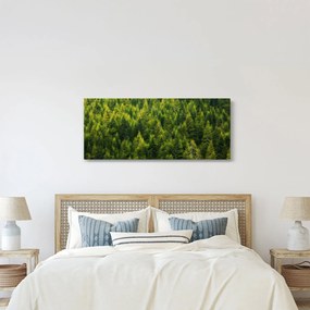 Obraz - Hustý les (120x50 cm)