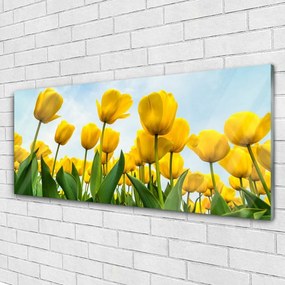 Obraz plexi Tulipány kvety rastlina 125x50 cm