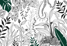 Fototapeta - Botanická záhrada (147x102 cm)