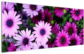 Obraz - Kvety (120x50 cm)