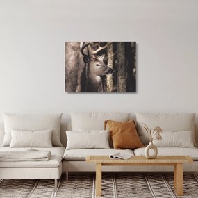 Sklenený obraz - Jeleň v lese (70x50 cm)