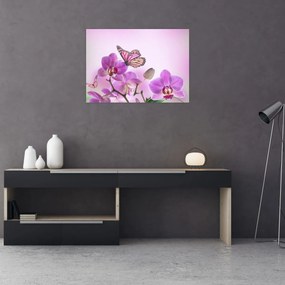 Obraz - Motýľ na kvetoch orchidey, lila (70x50 cm)