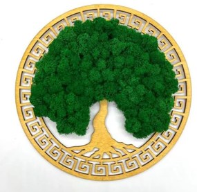 Strom na stenu z machu Olympus 30 cm