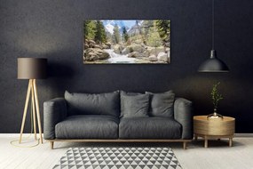 Skleneny obraz Hora les kamene rieka 120x60 cm