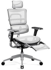 Ergonomické kreslo Diablo V-Master, čierno-biele