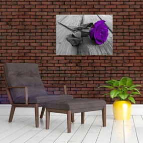 Sklenený obraz - Fialová ruža so zelenou stonkou (70x50 cm)