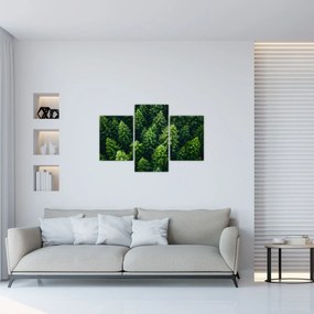 Obraz - Les (90x60 cm)