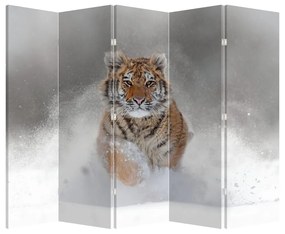 Paraván - Bežiaci tiger v snehu (210x170 cm)
