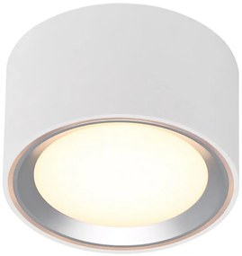 Nordlux - LED Stmievateľné stropné svietidlo FALLON LED/5,5W/230V