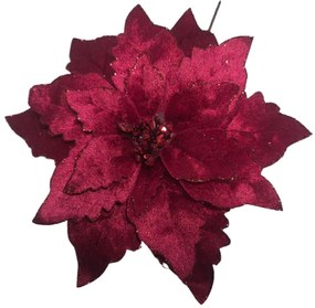 Tmavo červená vianočná ruža 24cm