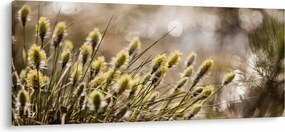 Obraz - Zeleň (120x50 cm)