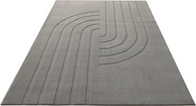 Obsession, Kusový koberec Zen Deluxe 700 Grey, 80x150, šedá, obývacia izba